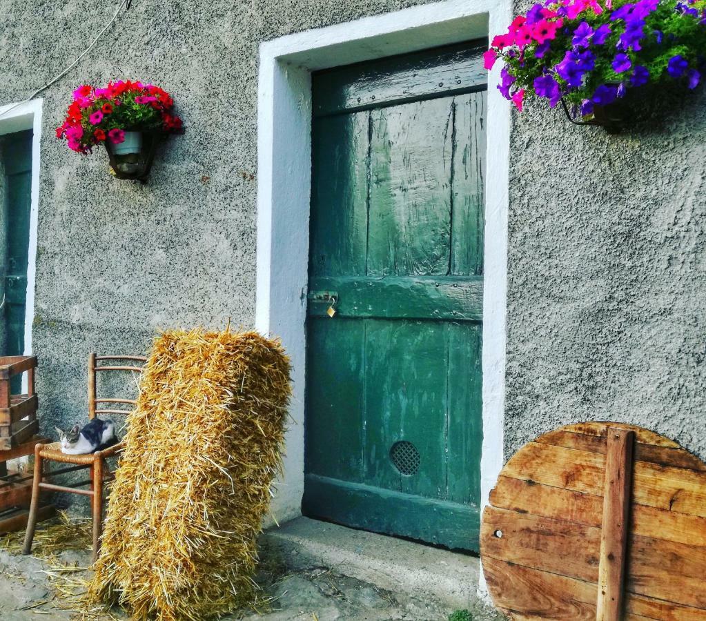 Berzuaia Bed&Breakfast Varraze Exterior foto